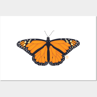 Monarch Butterfly Posters and Art